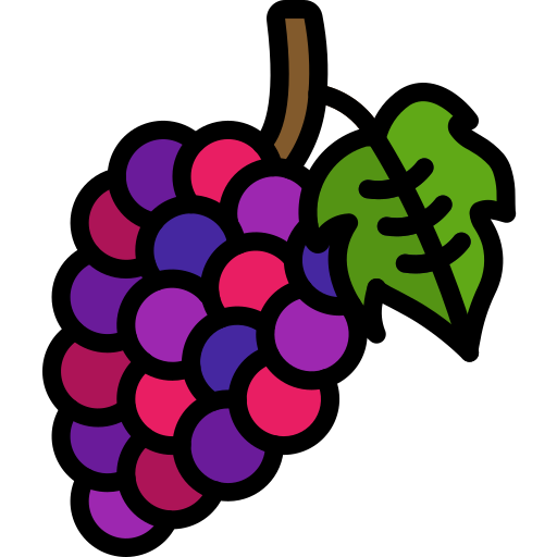 winogrona Basic Miscellany Lineal Color ikona