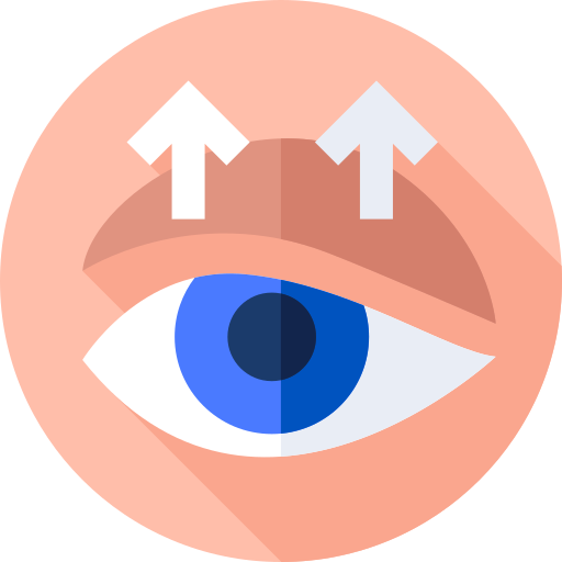 ooglid Flat Circular Flat icoon
