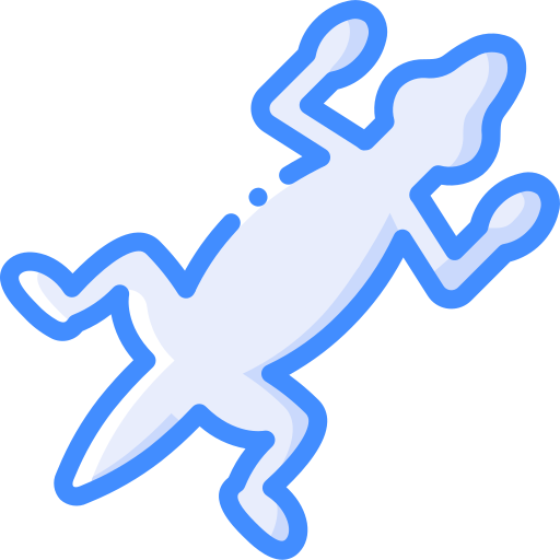 Gecko Basic Miscellany Blue icon
