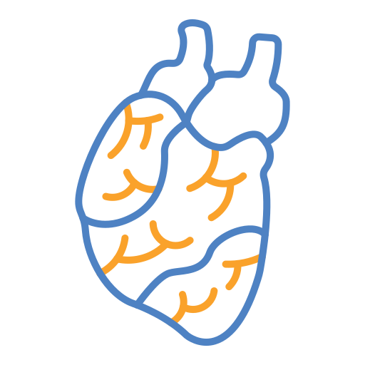 Heart Generic color outline icon