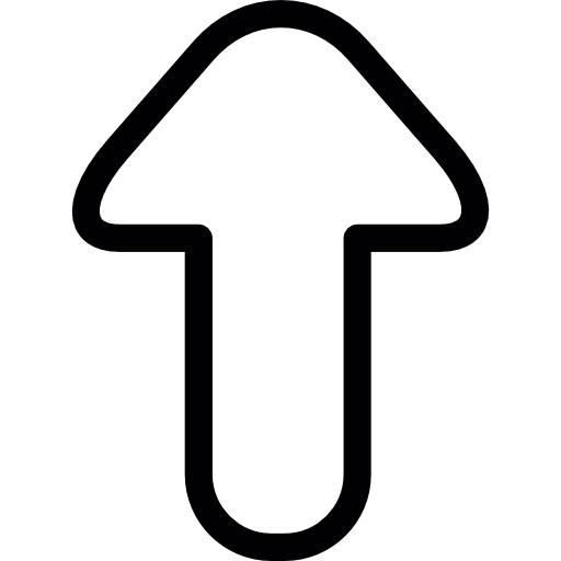 Arrow pointing upwards  icon
