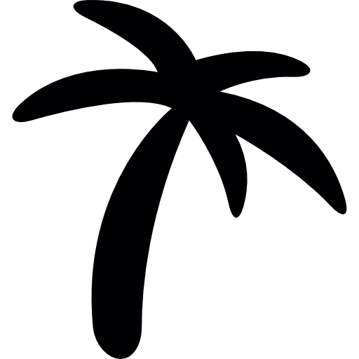 Palm tree black shape  icon