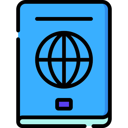 Passport Special Lineal color icon