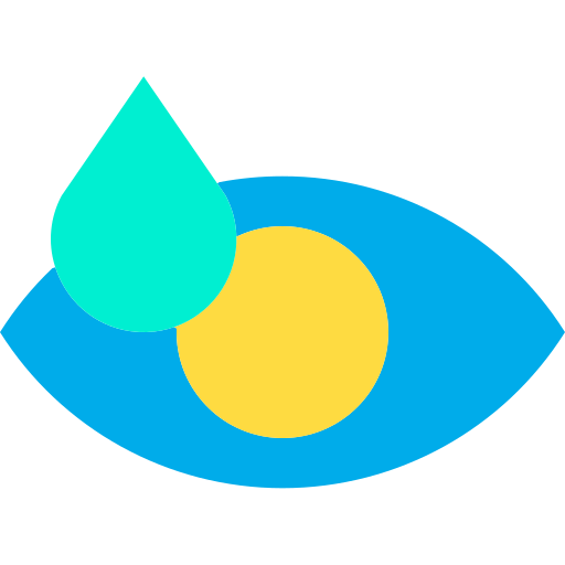 Eye Kiranshastry Flat icon