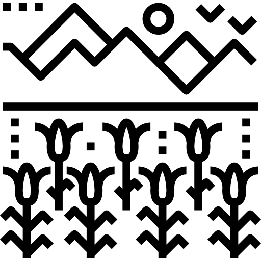 campo Becris Lineal icono