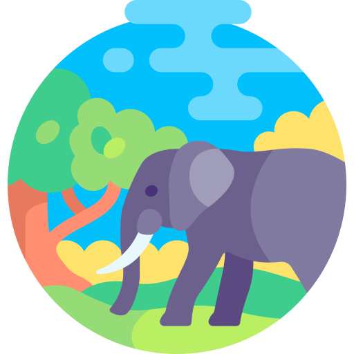 elefante Detailed Flat Circular Flat icona