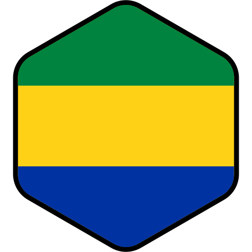 bandera de gabón Generic color lineal-color icono