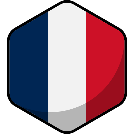 bandiera della francia Generic color lineal-color icona