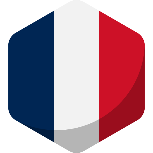 bandiera della francia Generic color fill icona