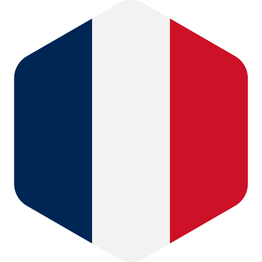 drapeau français Generic color fill Icône