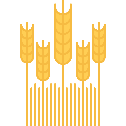 小麦 Coloring Flat icon