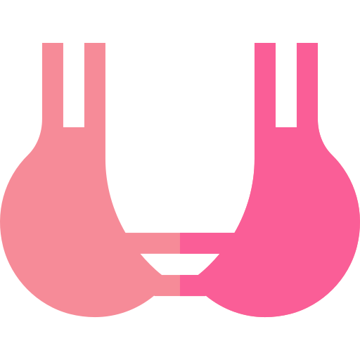 Brassiere Basic Straight Flat icon