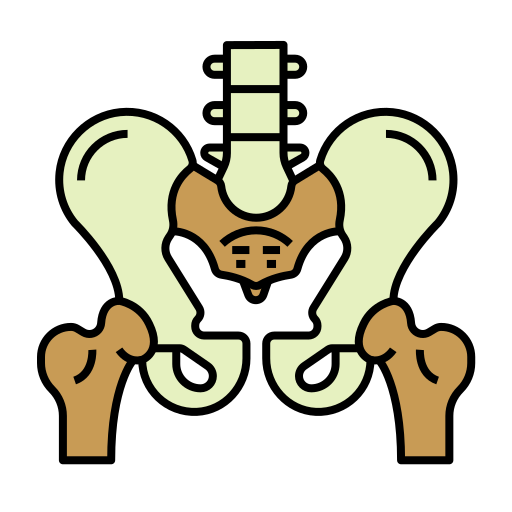 ossa pelviche Generic color lineal-color icona