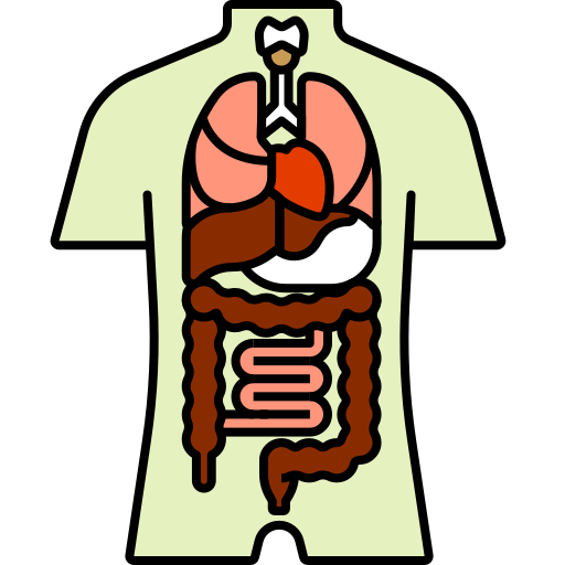 médico Generic color lineal-color icono