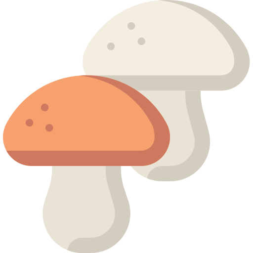 Cogumelos Special Flat Ícone