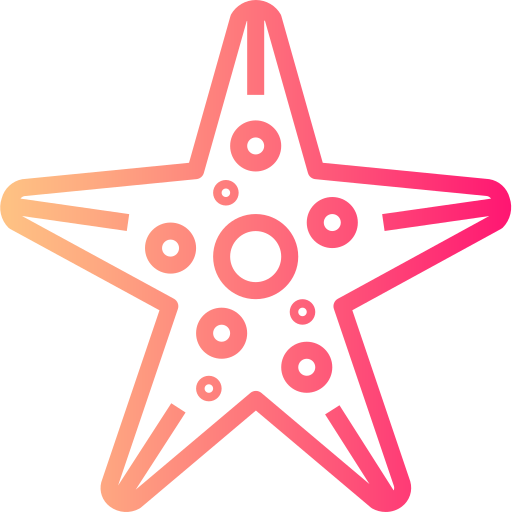 Estrella de mar Smalllikeart Gradient icono