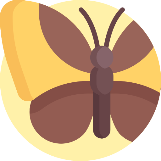 Moth Detailed Flat Circular Flat icon
