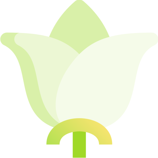 fleur Fatima Green Icône