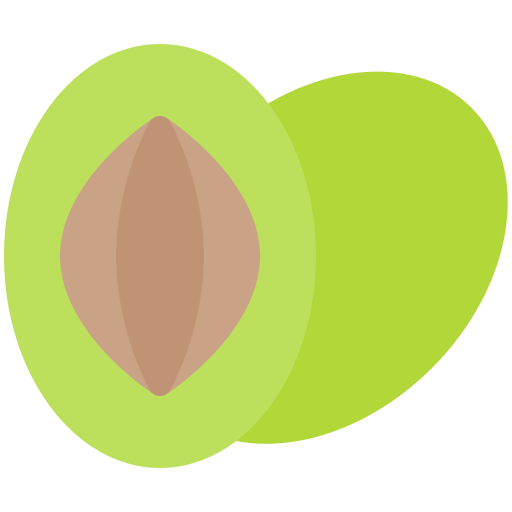 Olive pit Generic color fill icon