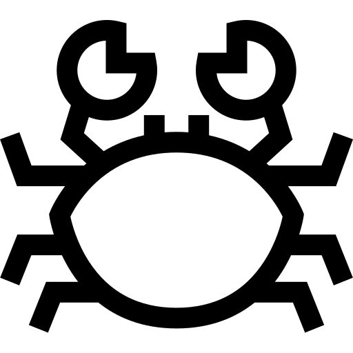 caranguejo Basic Straight Lineal Ícone