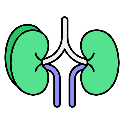 riñón Generic color lineal-color icono