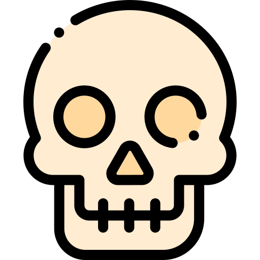 두개골 Detailed Rounded Lineal color icon