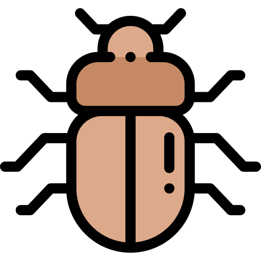 Beetle Detailed Rounded Lineal color icon