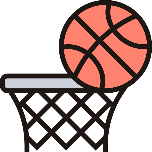 basketbal Meticulous Lineal Color icoon