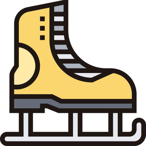 patines de hielo Meticulous Lineal Color icono