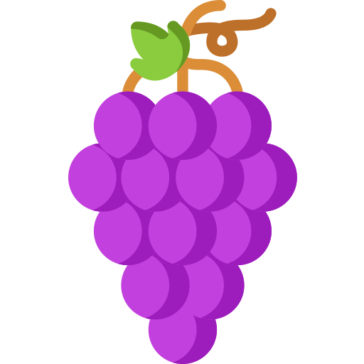 Grapes Special Flat icon