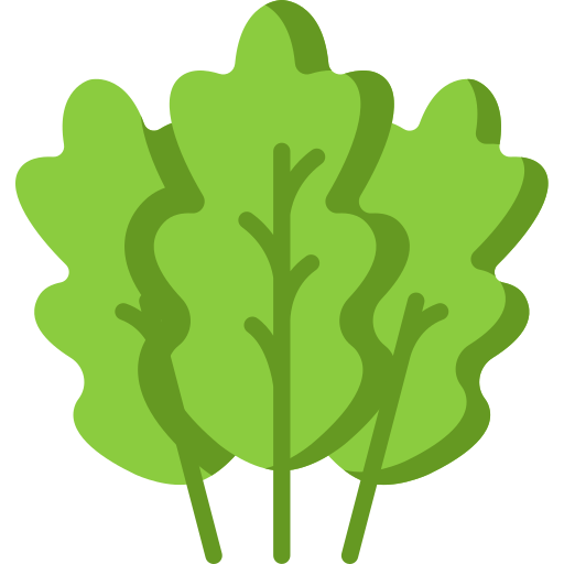 Kale Special Flat icon