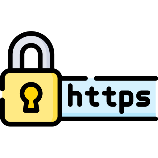 https Special Lineal color icon