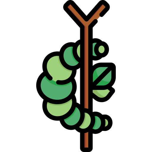 Chrysalis Special Lineal color icon
