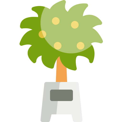 orangenbaum Special Flat icon