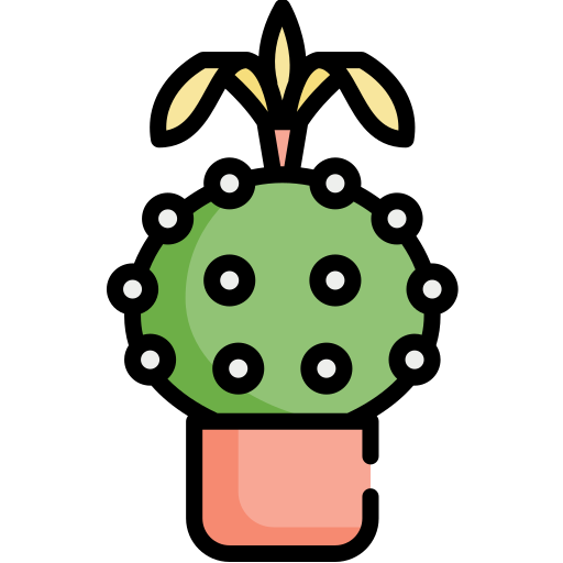 Cactus Special Lineal color icono