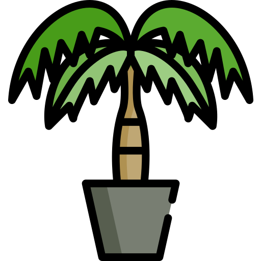 Palm Special Lineal color icon