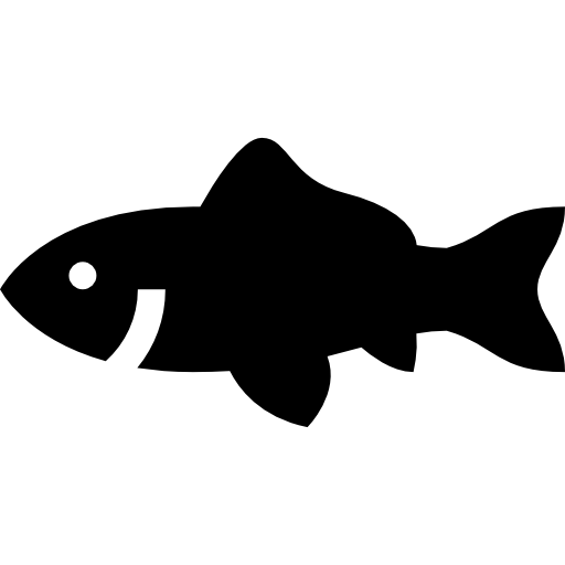 poisson rouge Basic Straight Filled Icône