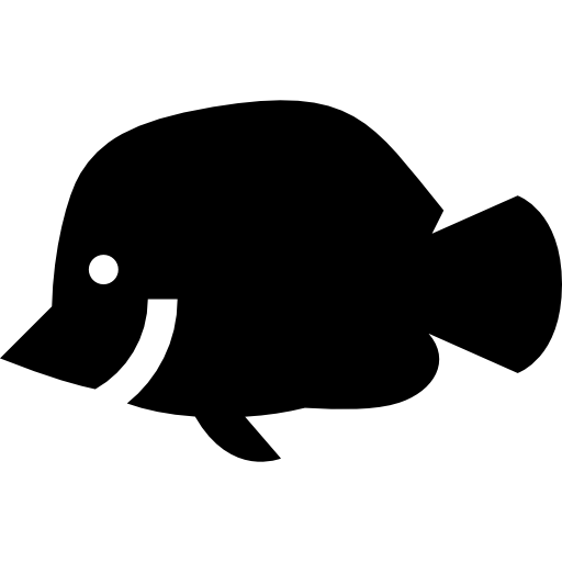 fisch Basic Straight Filled icon