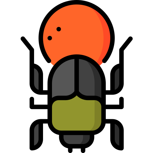 Dung beetle Special Lineal color icon