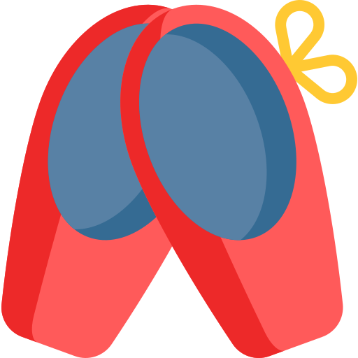 Ballet Special Flat icon