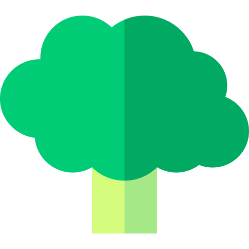 broccoli Basic Straight Flat icona