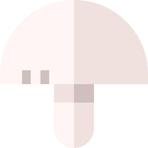 Гриб Basic Straight Flat иконка