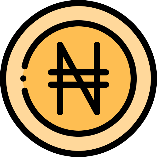 naira Detailed Rounded Lineal color icon