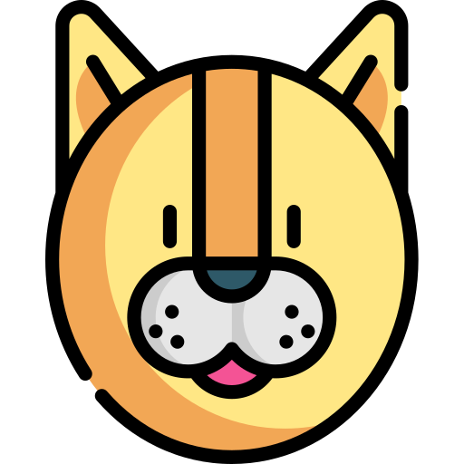 Cat Special Lineal color icon