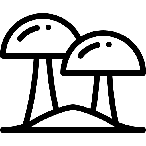 paddestoel Detailed Rounded Lineal icoon