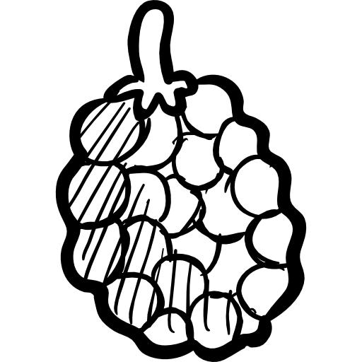 Blackberry Hand Drawn Black icon