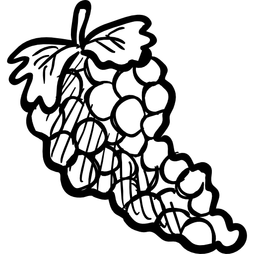 Grapes Hand Drawn Black icon