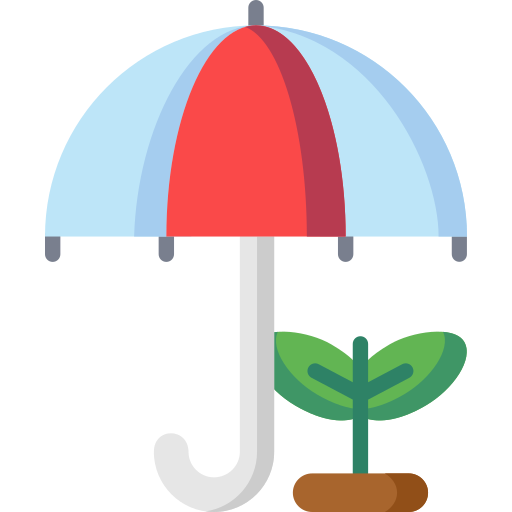 Paraguas Special Flat icono