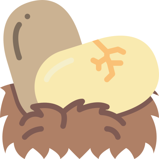 Huevos Basic Miscellany Flat icono
