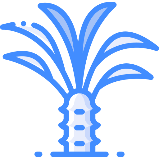 palma Basic Miscellany Blue icona